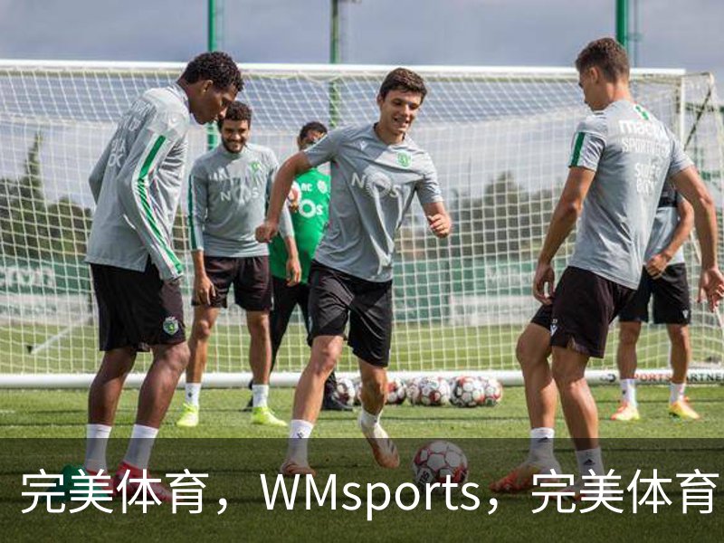 完美体育（wmsports)官方网站